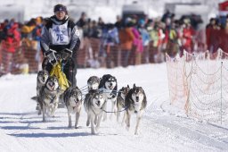 Lenk 2013